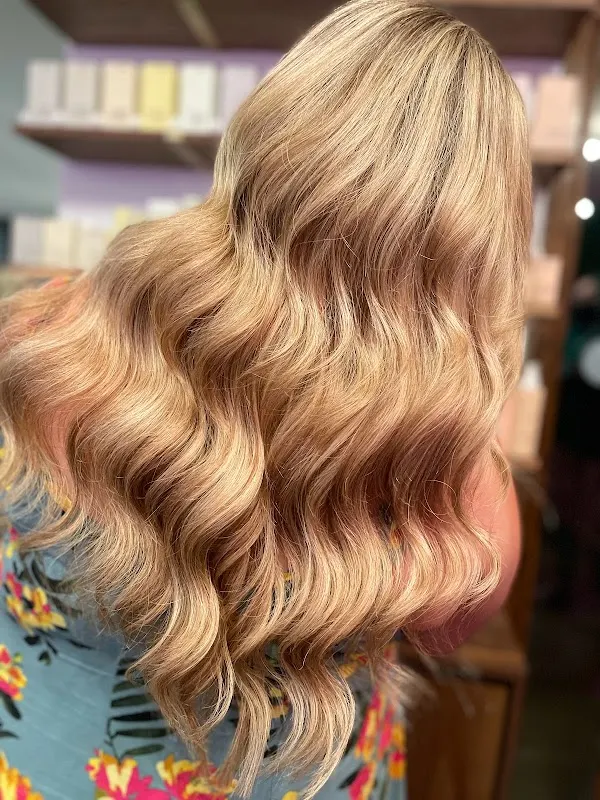 Chameleon Salon — Hair salon in Portland